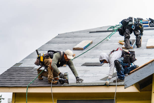 Professional Gutter Installation technician working in Briceville, TN